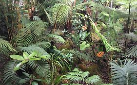 At The Craters Edge (Adults Only)